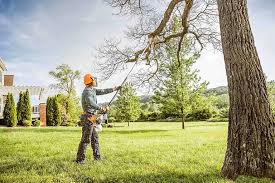 Best Tree Trimming and Pruning  in Aledo, TX