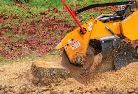 Best Tree Removal  in Aledo, TX